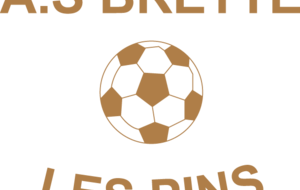 BRETTE C - FOOT à 7 B