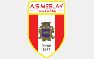 SENIORS A - MESLAY DU MAINE