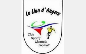 LE LION D'ANGERS - SENIORS A