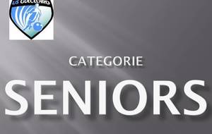 SENIORS D