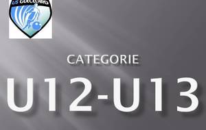 U13 A, Match à Guécélard contre LE MANS VILLARET , RDV 12h50 au stade