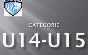 Championnat U14