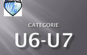 U7, FUTSAL à ECOMMOY